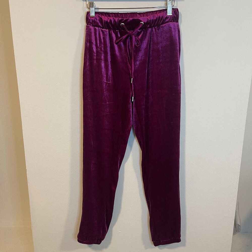 Zara Trafaluc Velvet Pants